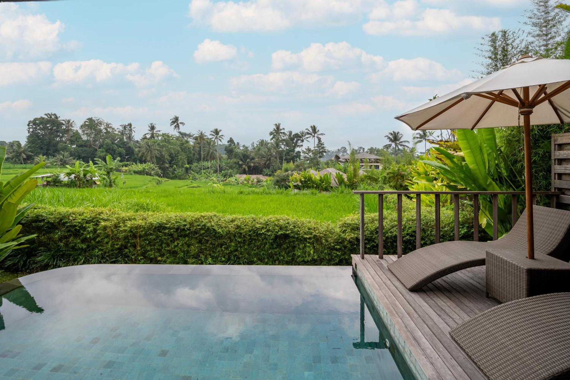 Kappa Senses Ubud Habitación foto